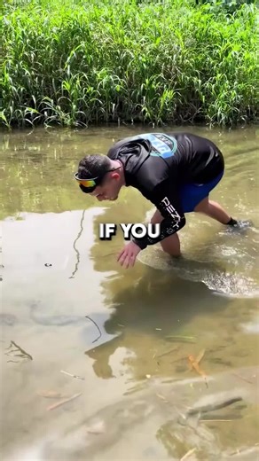 redguyexplain (@redguyexplain)’s video of pleco lab germ