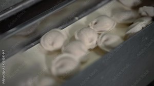 Automatic Machine Production Process at a Dumpling Factory. Fresh Raw Pelmeni Fall On the Conveyor Belt. Industrial Machinery Operating at a Food Factory.