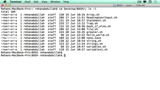 BASH SCRIPTING || TUTORIAL 12 - FOR LOOP
