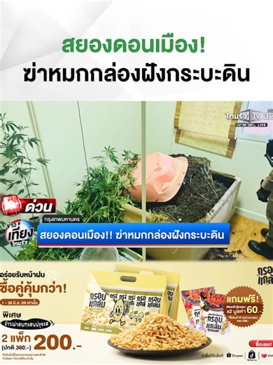 สยองดอนเมือง! ฆ่าหมกกล่องฝังกระบะดินปลูกกัญชา . #ข่าวtiktok#ข่าวเที่ยงไทยรัฐ #ฆ่ายัดกล่อง #ดอนเมือง #กรอบแกล้มข้าวเม่าอบกรอบ #ไทยรัฐทีวี32