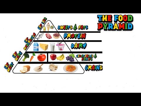 The Food Pyramid EXPLAINED