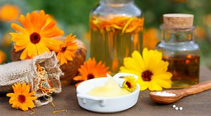 Le calendula, un ingrédient aux multiples bienfaits pour la peau