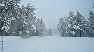 A camera shot captures the viewer's perspective as snow quickly accumulates over time. The time-lapse effect shows the landscape changing from bare to snow-covered