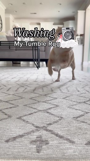 Washable Rug Care Tips by Tumble Rugs - How to Properly Wash Your Tumble Rug