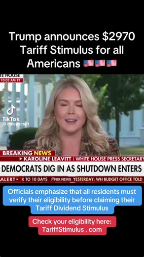 Trump Announces $2,970 Economic Stimulus for All Americans