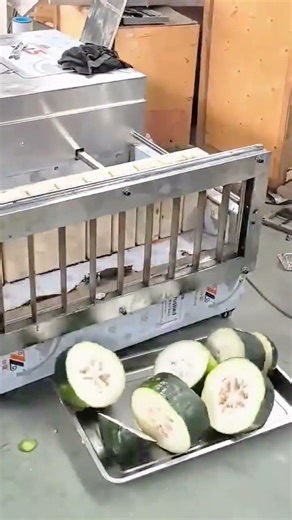 cutting fresh green watermelon into equal slices using a large automatic industrial metal machine