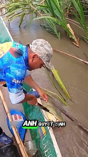 Going into the Amazon rainforest alone to catch giant fish in a river #shorts