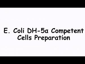 How to Prepare Chemically Competent E. coli Cells | Wet Lab Protocol