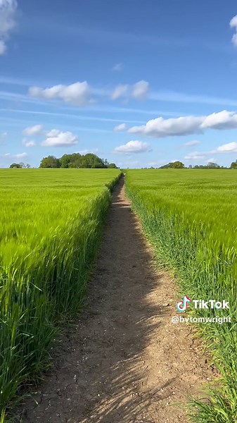 tom wright (@bytomwright)’s videos with Bleached - Video Days