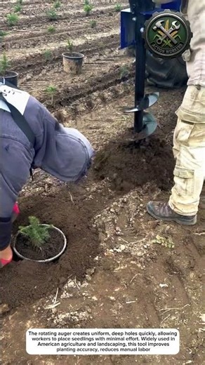 Fast Tree Planting Using a Tractor-Mounted Auger Drill