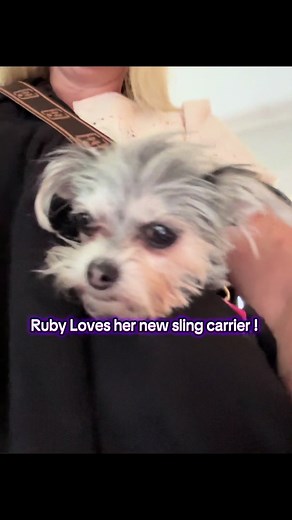Ruby loved her new sling carrier ! It made dining al fresco so much easier 😂🐾❤️#dogsoftiktok #teacupdogs #dogfriendly