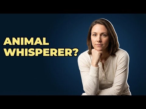 What Is An Animal Behavior Consultant Career?