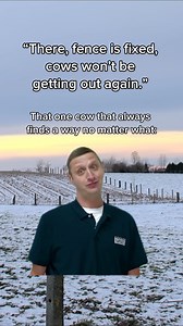 You’ve gotta give them credit... They’re consistent! Fencing is a never-ending task on the farm, and Saskatoon Co-op has all the tools and material you need to keep up with the challenge. | Saskatoon Co-op Agro