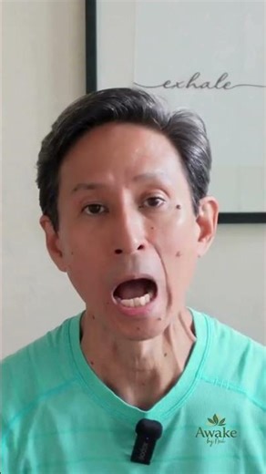 Looking for a user's manual for your life? Continue to watch here.