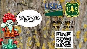 Thursday at noon, the Johnny Morris Foundation Wonders of Wildlife National Museum and Aquarium in partnership with the USDA Forest Service will air the new Mission Conservation Dr. Lichenz Live. This event is in conjunction with the Agents of Discovery Dr. Lichenz augmented reality gaming app. To learn more about both, check it out on the WondersofWildlife.org website. Wonders of Wildlife | U.S. Forest Service