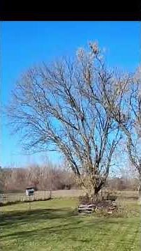 Eurocopter EC-155 Dauphin Helicopter Flying over At 5,000 Feet