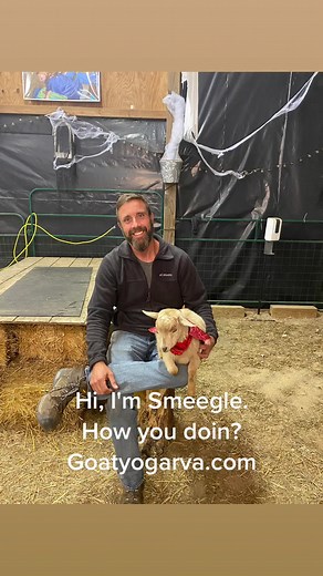 Melissa Anne Hunter (@melissahunteryoga)’s videos with original sound - Melissa Anne Hunter