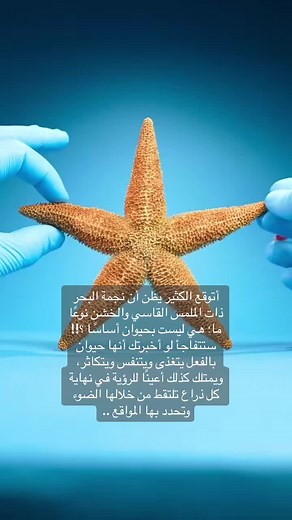 Starfish's Eye Location Revealed