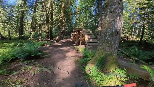 The Singletrack Sampler on Reels