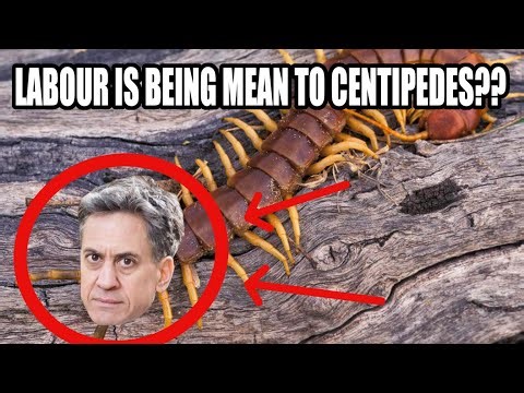 YTP - Keep the country cunty