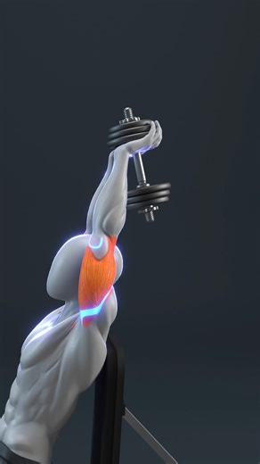 DEMIC STORY on Instagram: " Are You Training Triceps the Right Way? Watch This"