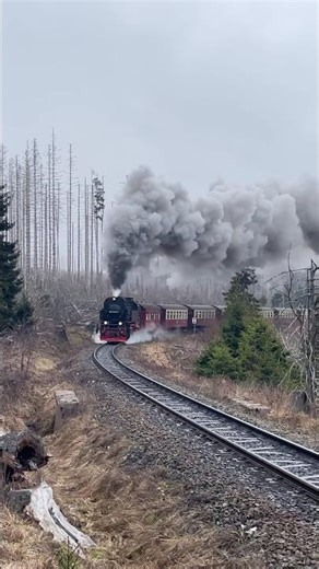 Mit guten Tempo geht es im Bogen voran #locomotive #steamtrain #fyp #germany #steampower