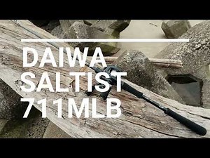 【ダイワ】ソルティスト【711MLB】