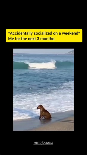 Enough socializing for this year 😤! . . #introvert #introvertbelike #holidaystress #introvertproblems #introversion #infjpersonality | Hey Introvert