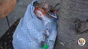 1.4K views · 42 reactions | We spent the day with our SWEEP officers...