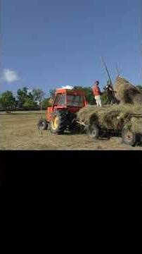 Village Life in the mountains of Romania! #villagelife #carpathianmountains