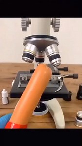 3.6K views · 12 reactions | Putting Hot Dogs Under Microscope | Brandon J McDermott | Facebook