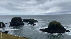Famous seascape of Arnarstapi village at Icelandic Snaefellsnes peninsula