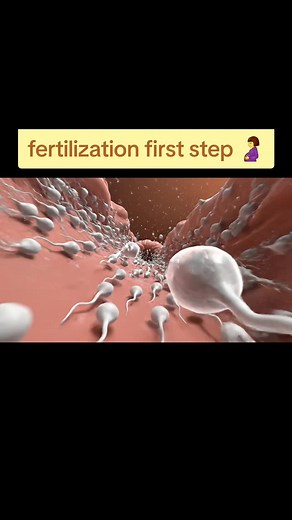 Understanding Fertilization: The First Step in Pregnancy