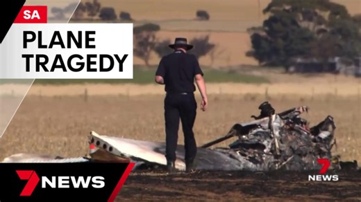 Family ripped apart by fiery plane crash that killed father and son