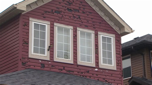 Insurance association warns Calgary to invest in hail resilience, one year after $3B storm