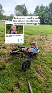 98 reactions · 14 comments | Exciting (long-awaited) update!!...