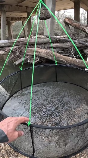 Easy Ways to Catch Minnows for Fishing