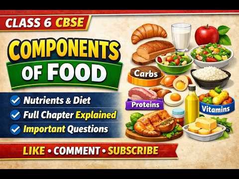 Components of Food | Class 6 CBSE NCERT | Full Chapter Explanation‪@LearnwithJahanvi‬