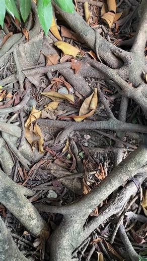 Simplify Your Power Tools with Versatile Batteries