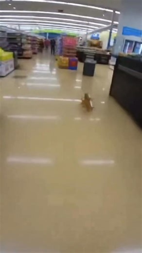 2.4K views · 15 reactions | Notorious shoplifters in store | Business Money Mindset | Facebook