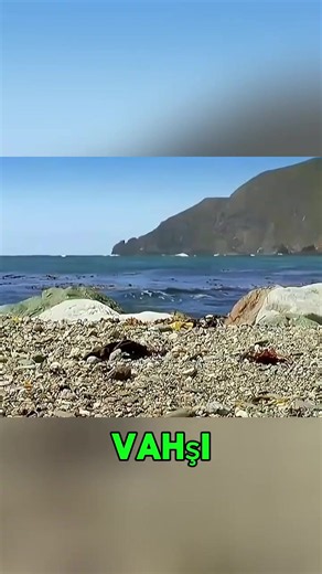 Abonelere özel videolar yayınlandı İyi seyirler
