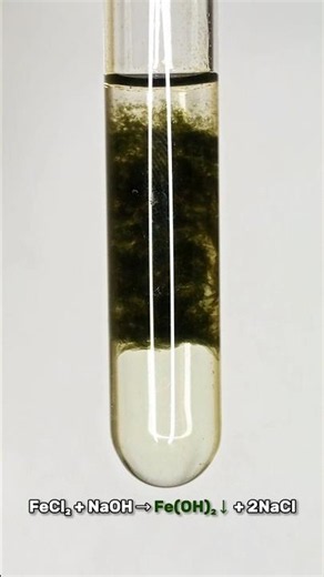 Iron (II) Chloride + NaOH | A Chemistry Experiment