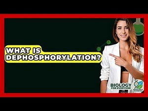 What Is Dephosphorylation? - Biology For Everyone