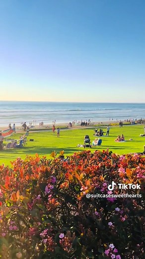 Traveling Couple on TikTok