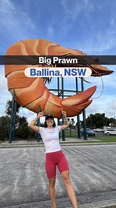 ¿Conociáis The Big Prawn en Ballina, NSW, Australia? Está muy cerquita de Byron Bay. 🦐 Esta es una escultura gigante que forma parte de una colección llamada Big Things en Australia. A lo largo del país encontrarás esculturas así de animales, comida, fruta... para atraer a turistas y ayudar a la economía local de esa ciudad en concreto. 📸 Básicamente, se ubican cerca de las carreteras para que las personas paren, se hagan la foto y, ya que están, visiten ese pueblo e inviertan su 💸 de alguna 