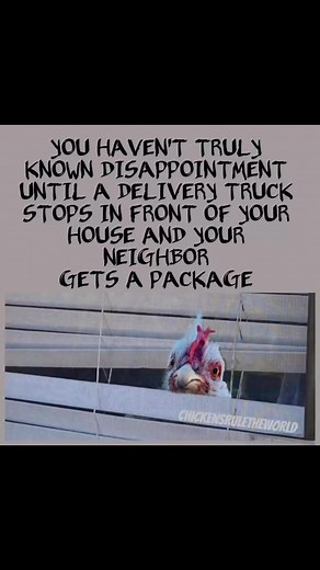 19K views · 408 reactions | #amazon #UPS #FEDEX #packages #influencer | Chickens Rule the World | Facebook