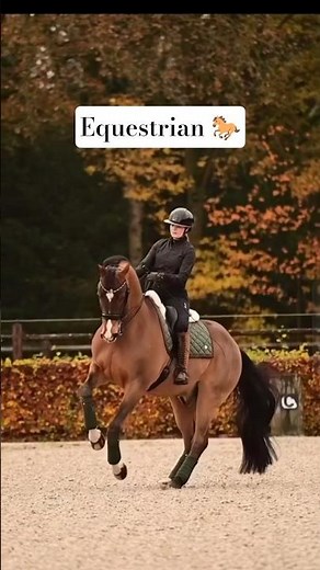 Equestrian : Horseback Riding Skills 🐎 | Basics to Advanced Riding Movements #shorts #horse #horses