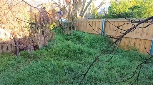 Fixing an Overgrown Mess | Garden Transformation