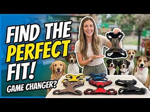6 Best Dog Harnesses of 2026! Stop the Pulling