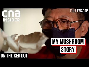 How This Singaporean Moved To Thailand To Be A Mushroom Farmer | On The Red Dot | Full Episode